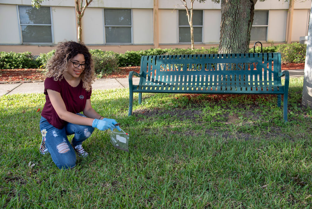 Lisa Ogueke collected soil samples on campus